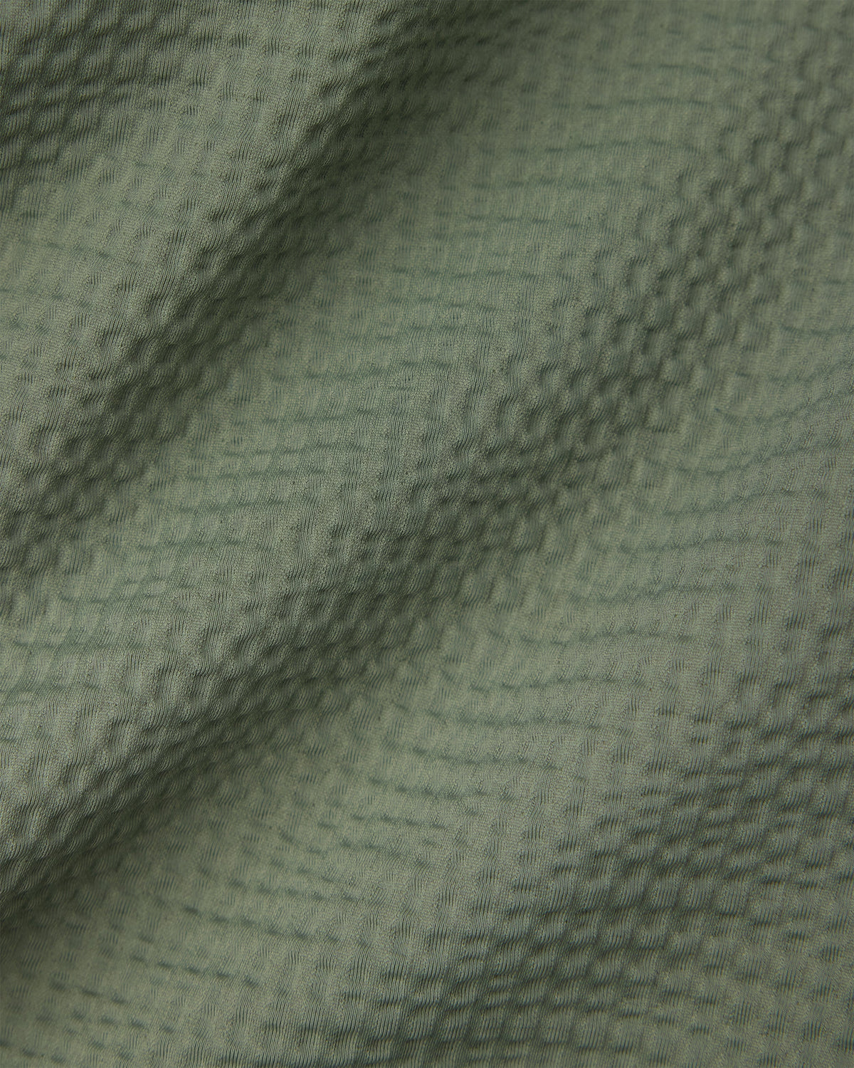 Olive Shadow