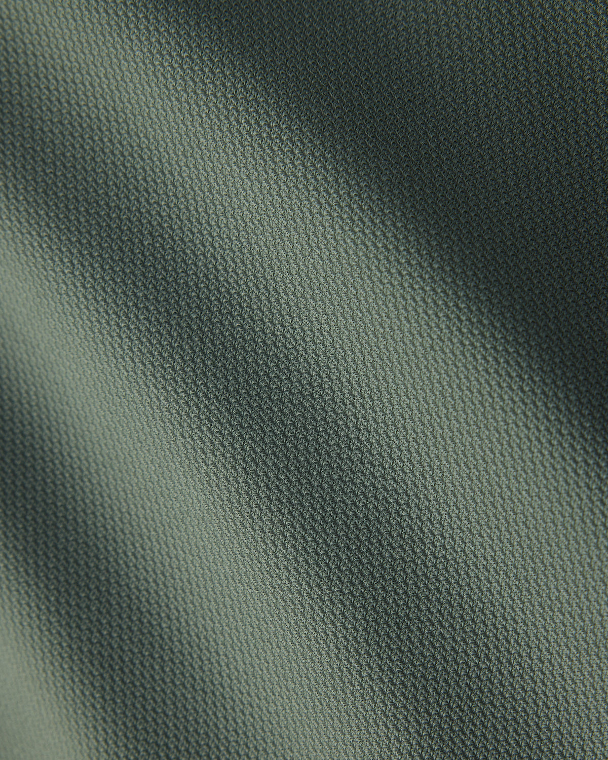Olive Shadow