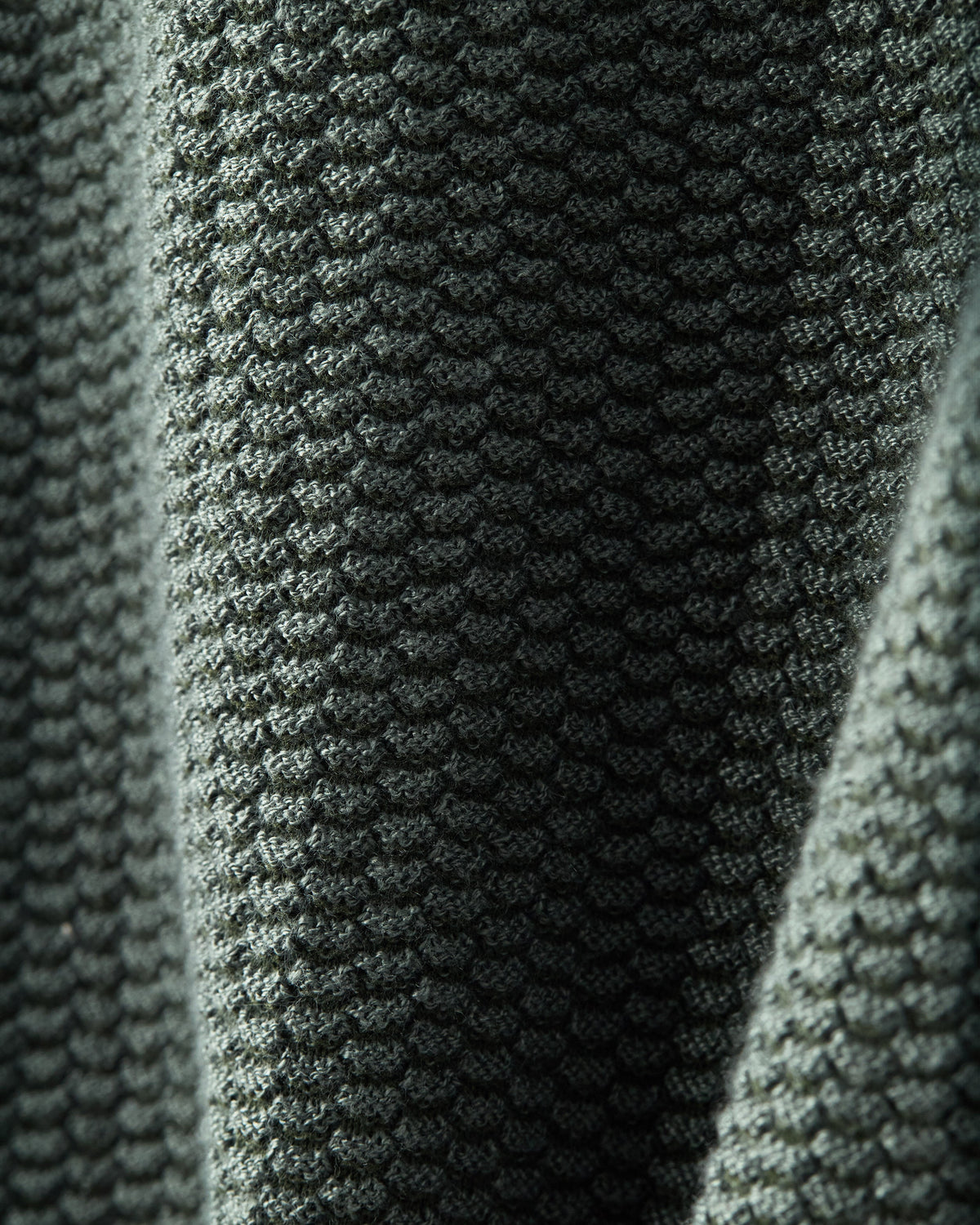 Olive Shadow