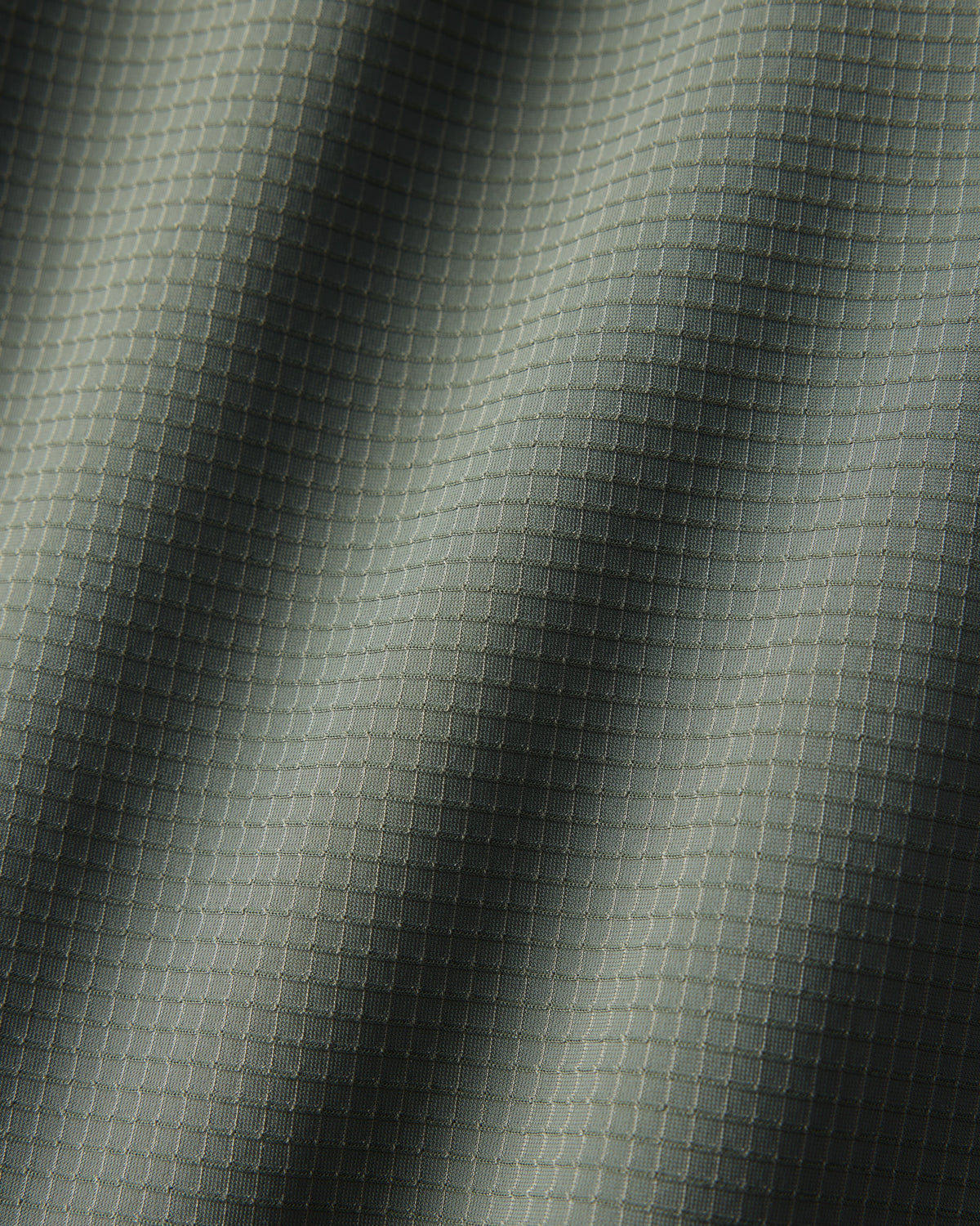 Olive Shadow