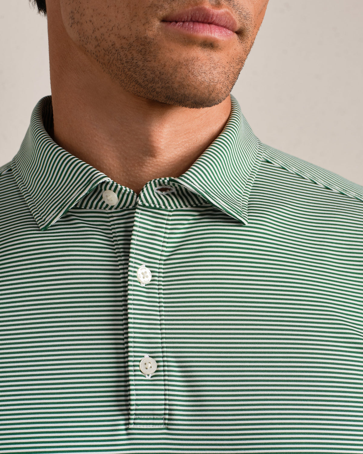 Fern Green Stripe